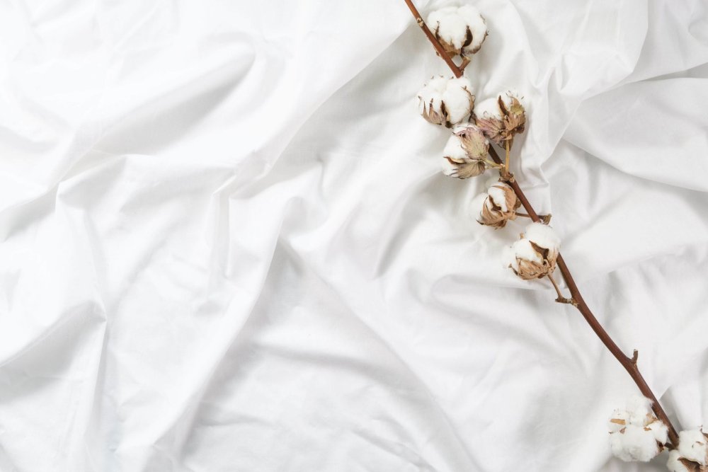 Хлопок Минимализм