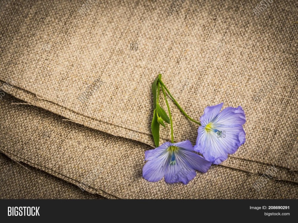 Ткань лен цветы