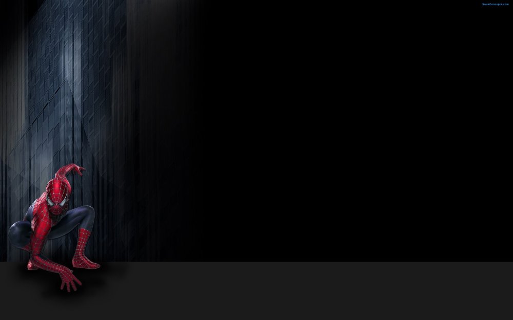 Человек паук задний фон