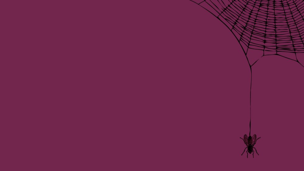 Фон Марвел человек паук