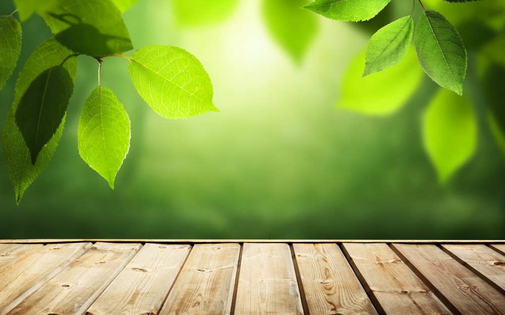 Зелень на доске