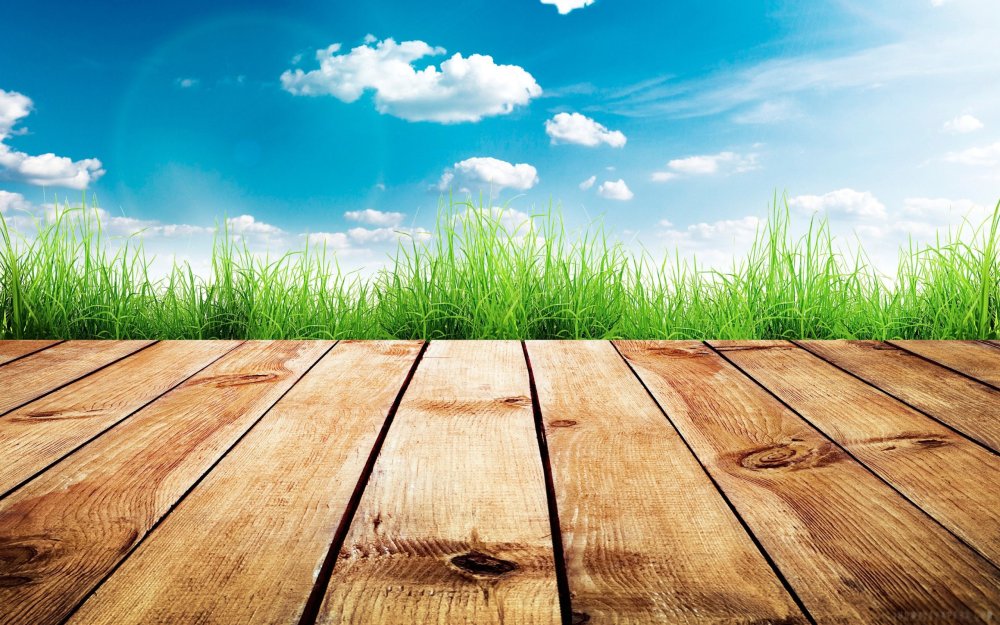 Деревянный стол на природе
