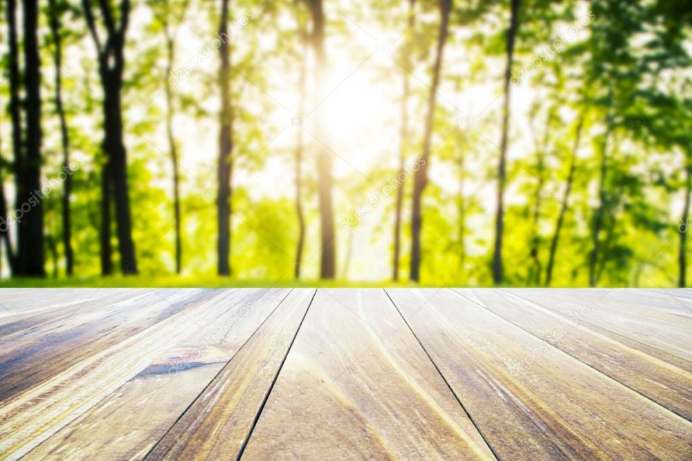 Мокап стол природа