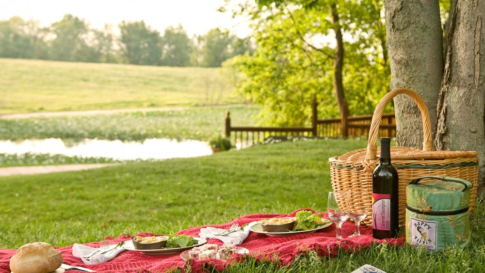 Пикник на природе