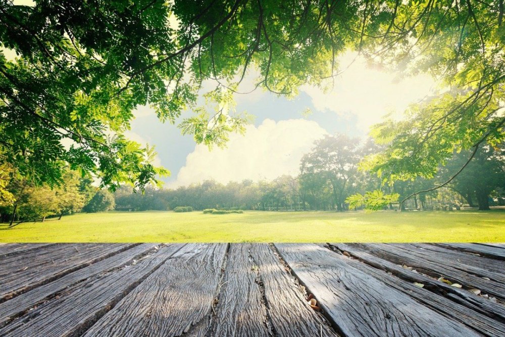 Деревянный стол на фоне природы