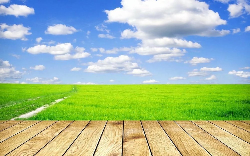 Небо зелень