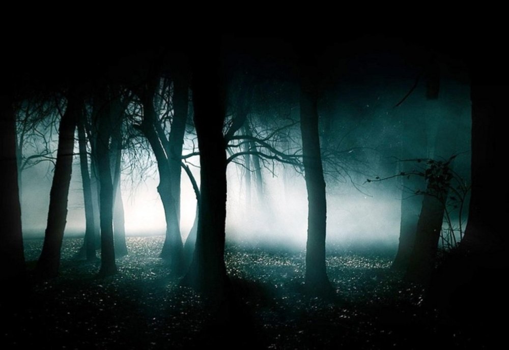 Жуткий лес