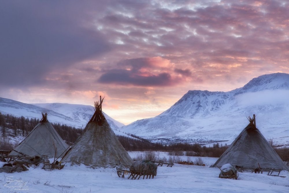 Ненецкий чум стойбище