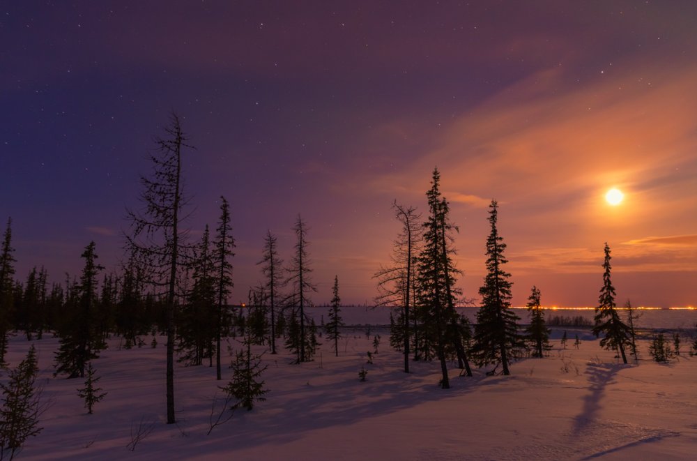 Северное сияние Эвенкия Таймыр