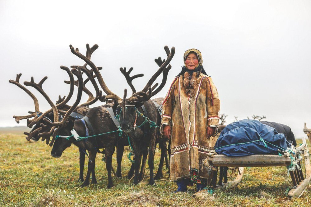Ненцы, саамы, манси, Ханты