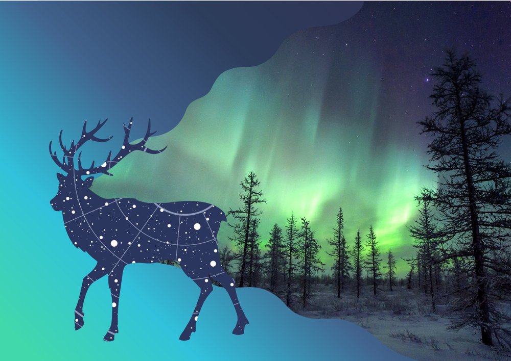 Эвенкия Северное сияние