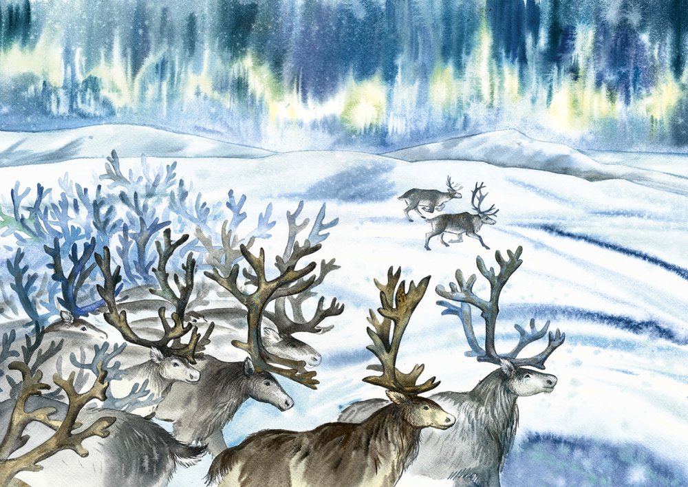 Сказочная Сибирь