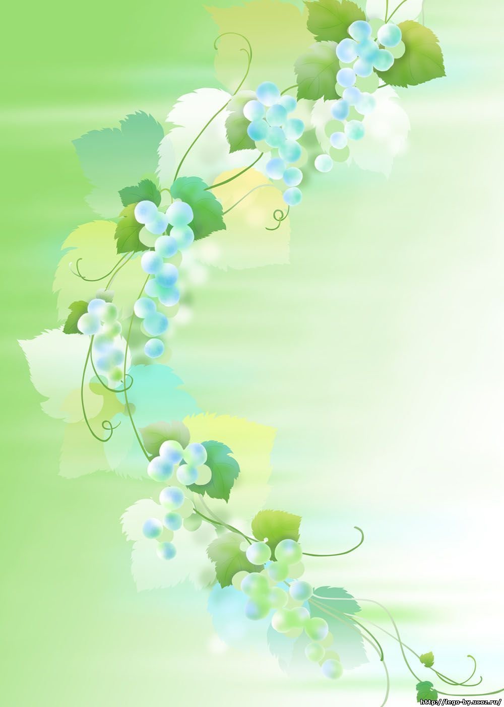 Зеленый фон для портфолио воспитателя