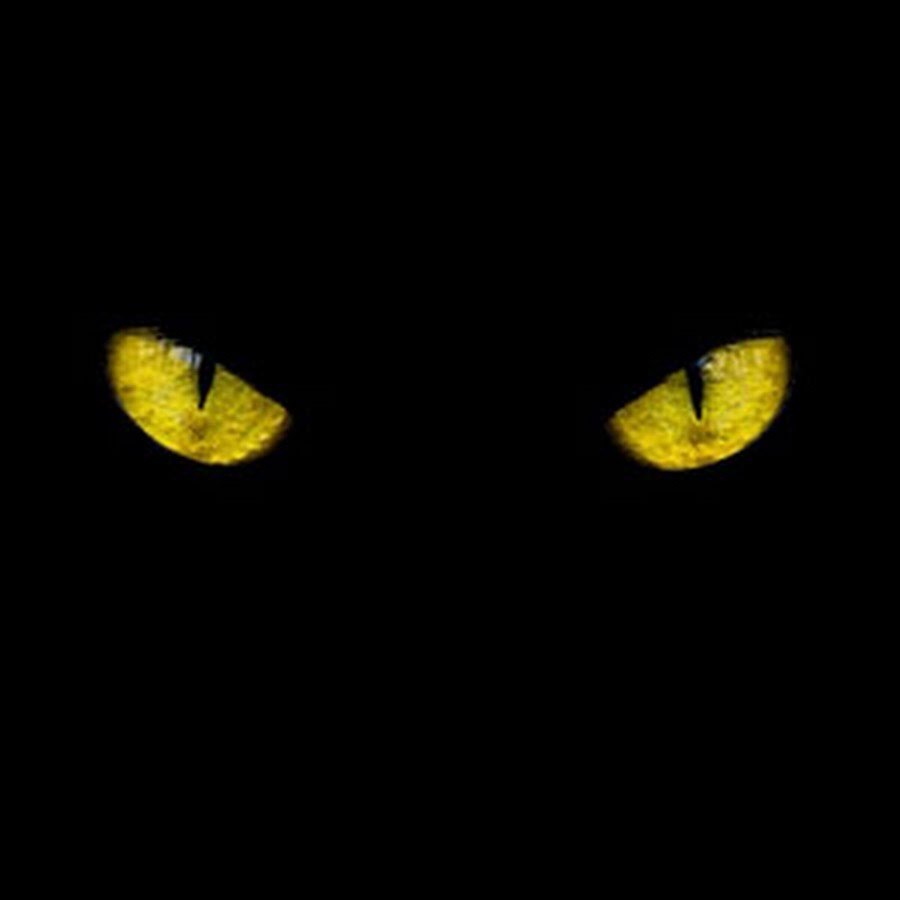 Светящиеся глаза