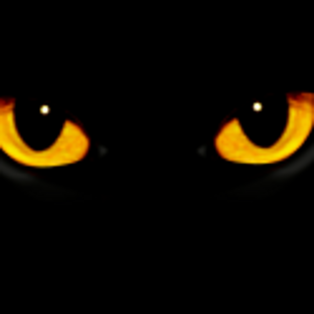 Черный кот с желтыми глазами