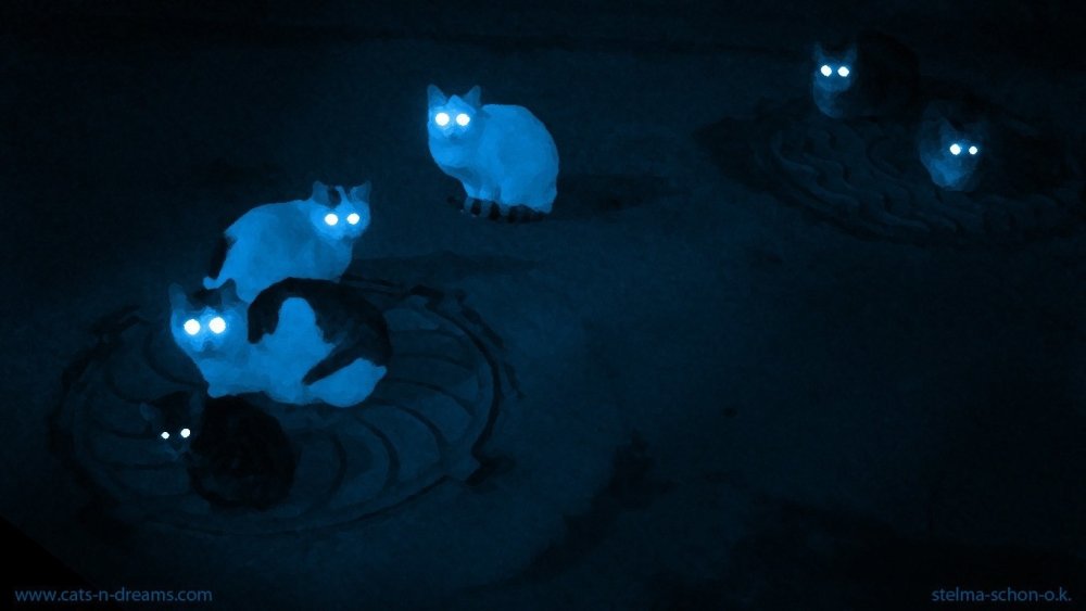 Черный кот на черном фоне