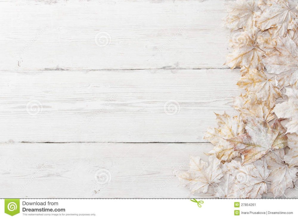 Бежевое дерево на белом фоне