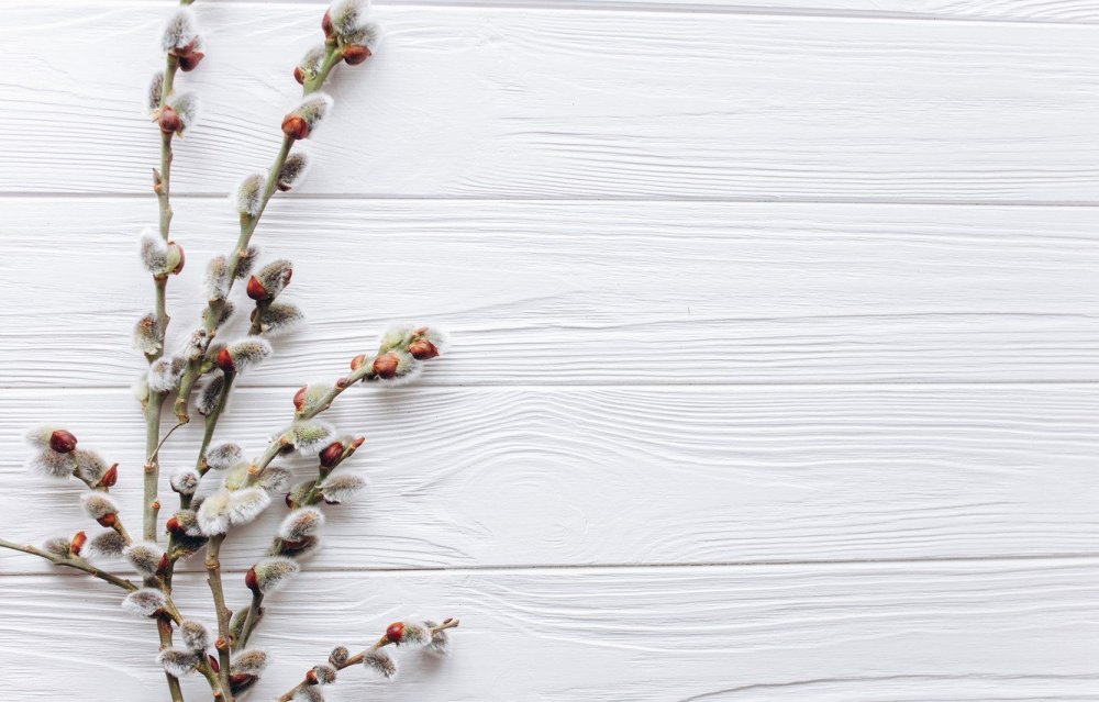 Фон с веточками