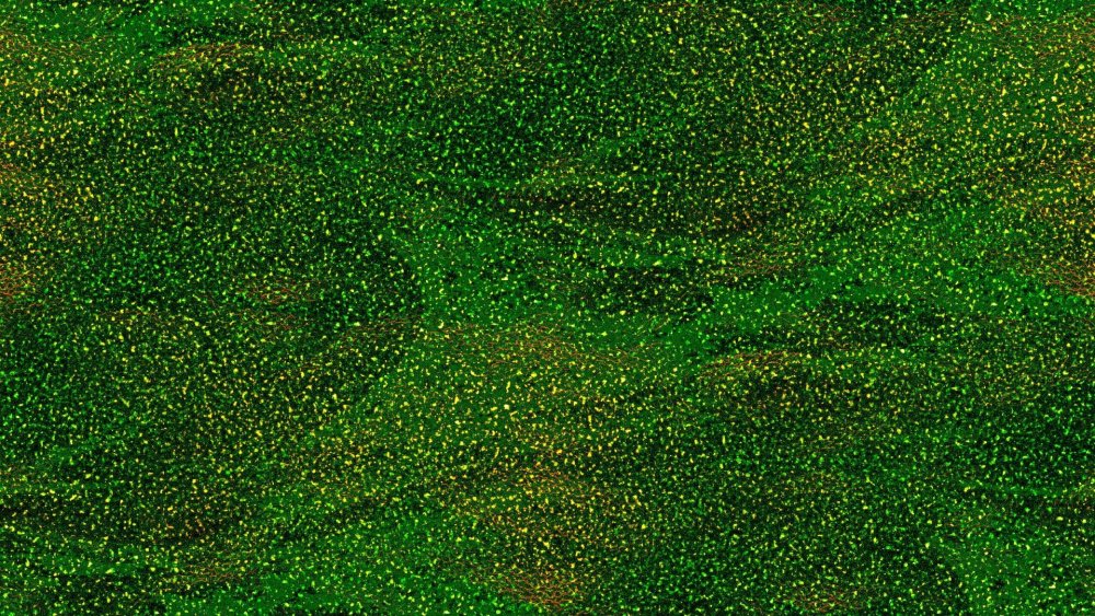Зеленый фон с блестками