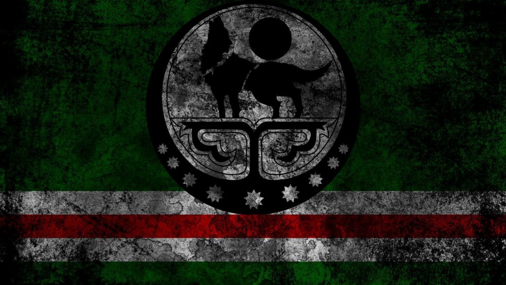 Флаг Чечни 2022