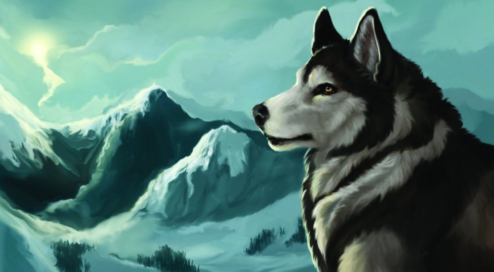 Обои на рабочий стол волк