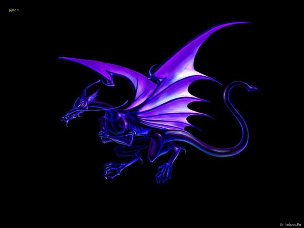 Фиолетовый дракон и девушка