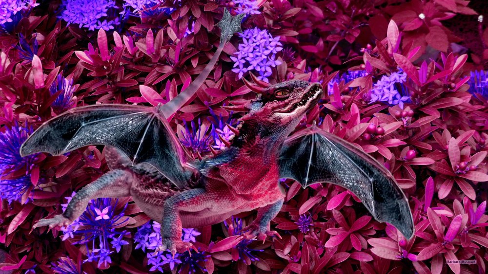 Дракон обои