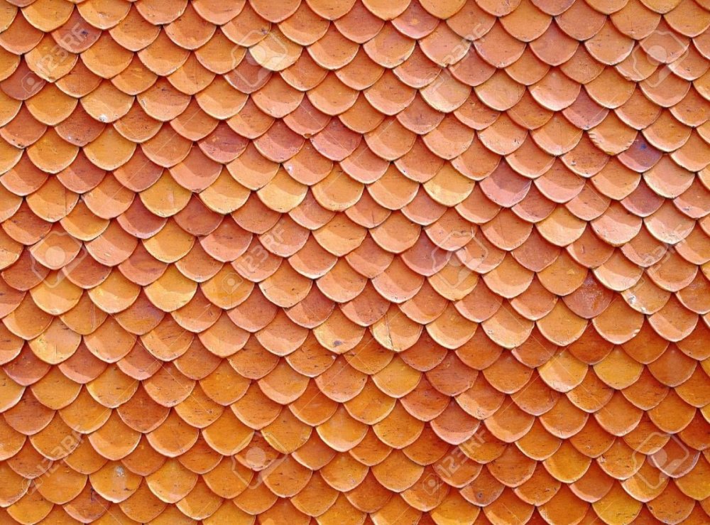 Золотая чешуя Алтан