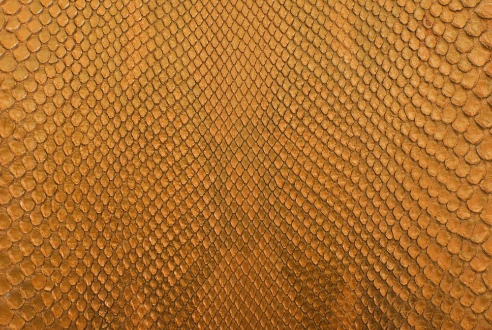 Золотая чешуя дракона