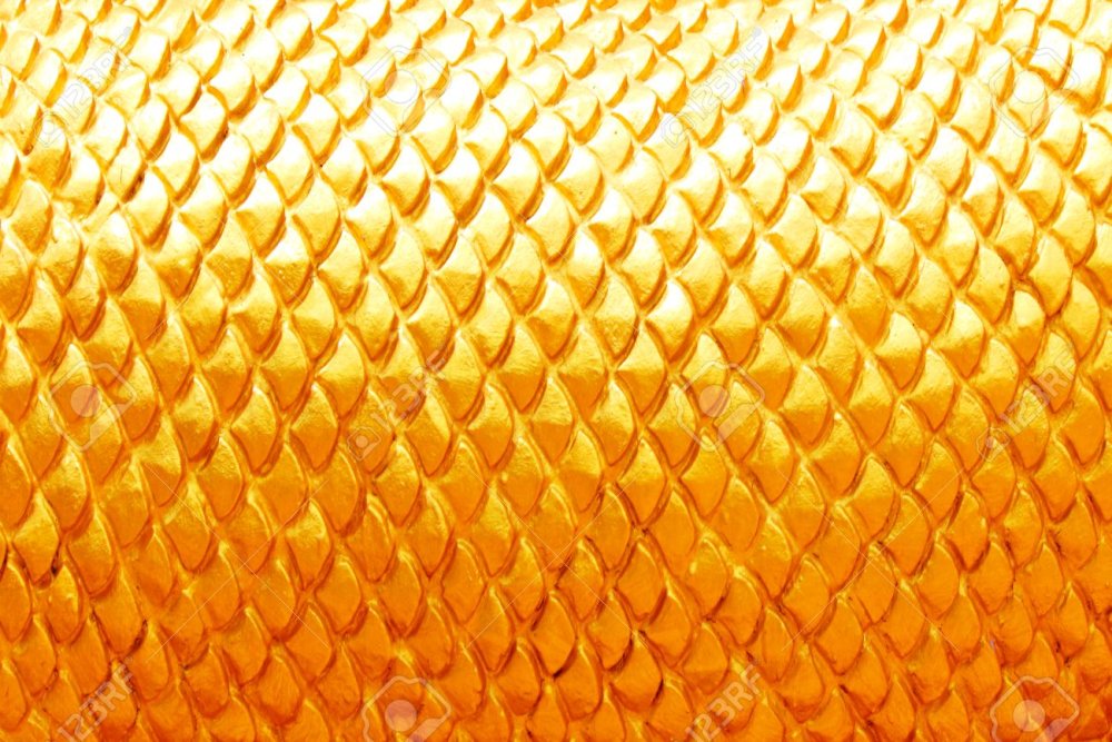 Чешуя золотой рыбки