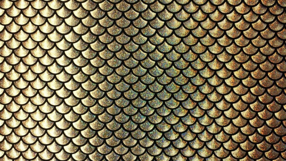 Кольчуга Драконья чешуя