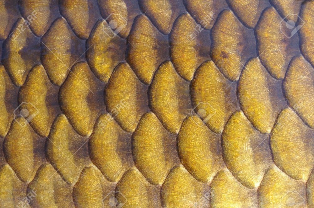 Золото текстура