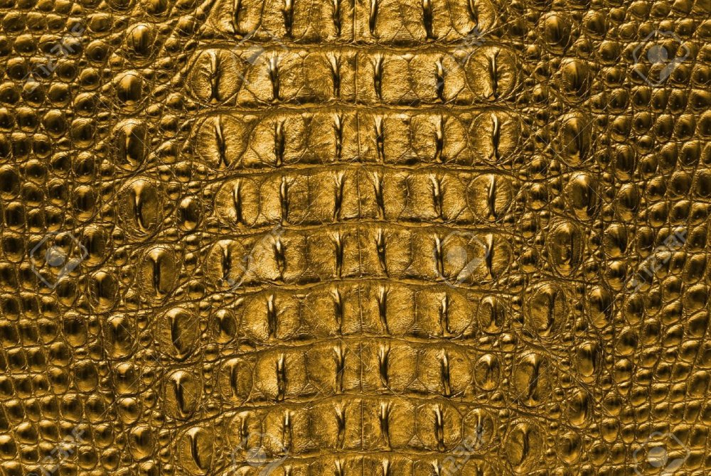 Змея под микроскопом