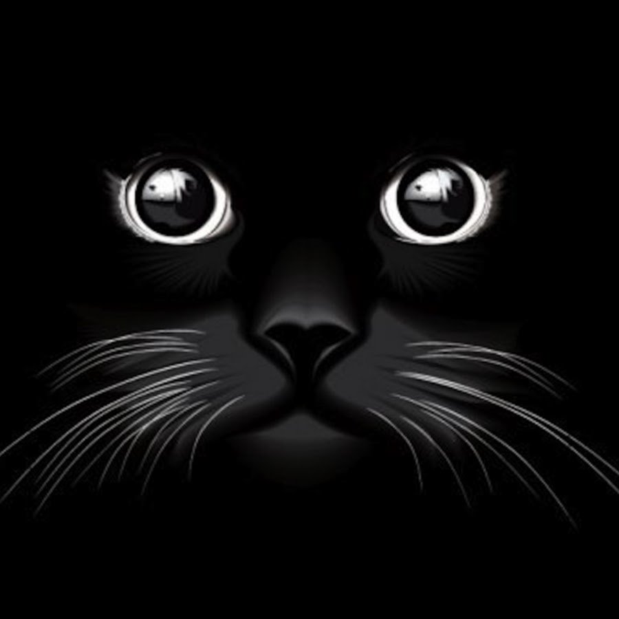 Красивые рисунки на черном фоне