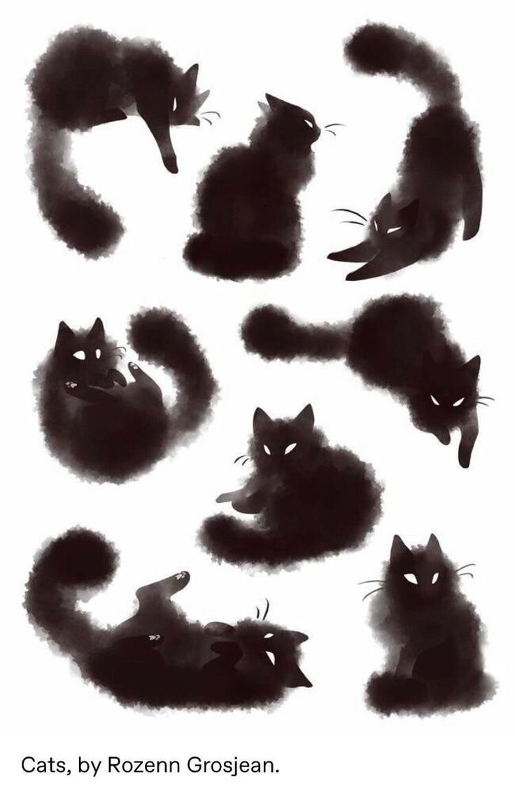 Много черных кошек