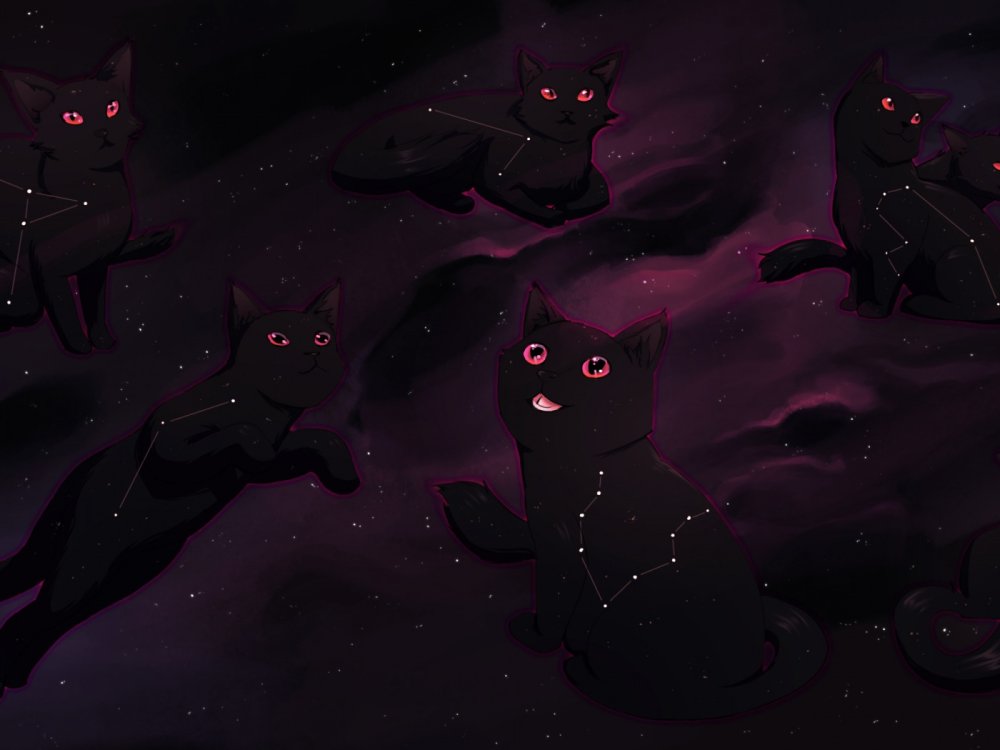 Котики арты