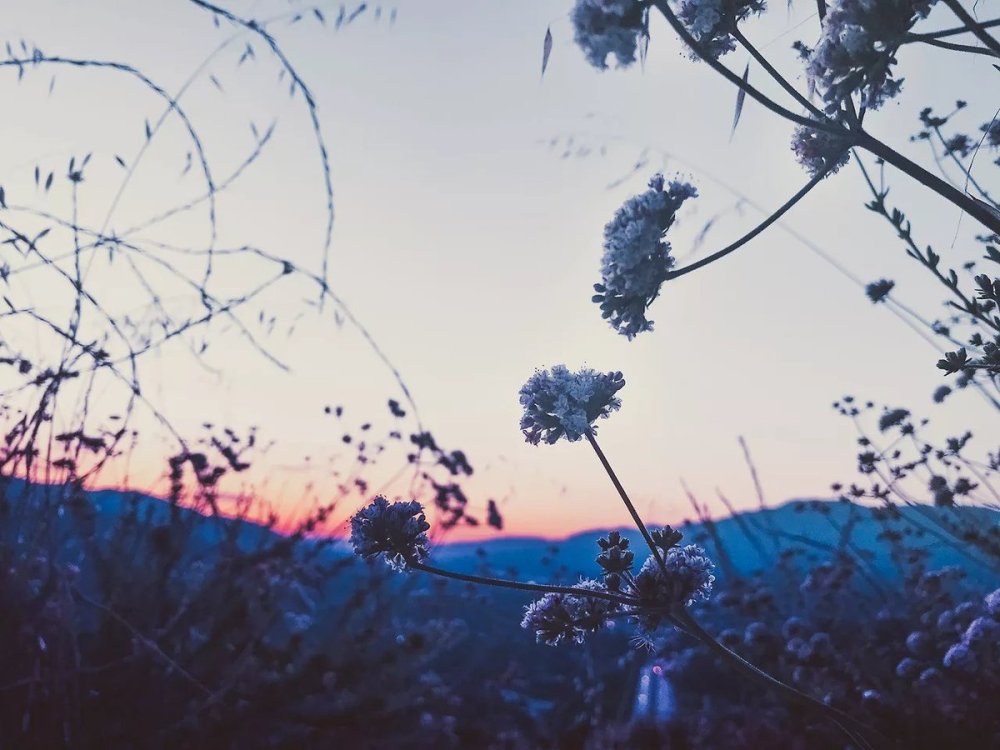 Эстетика в голубом стиле