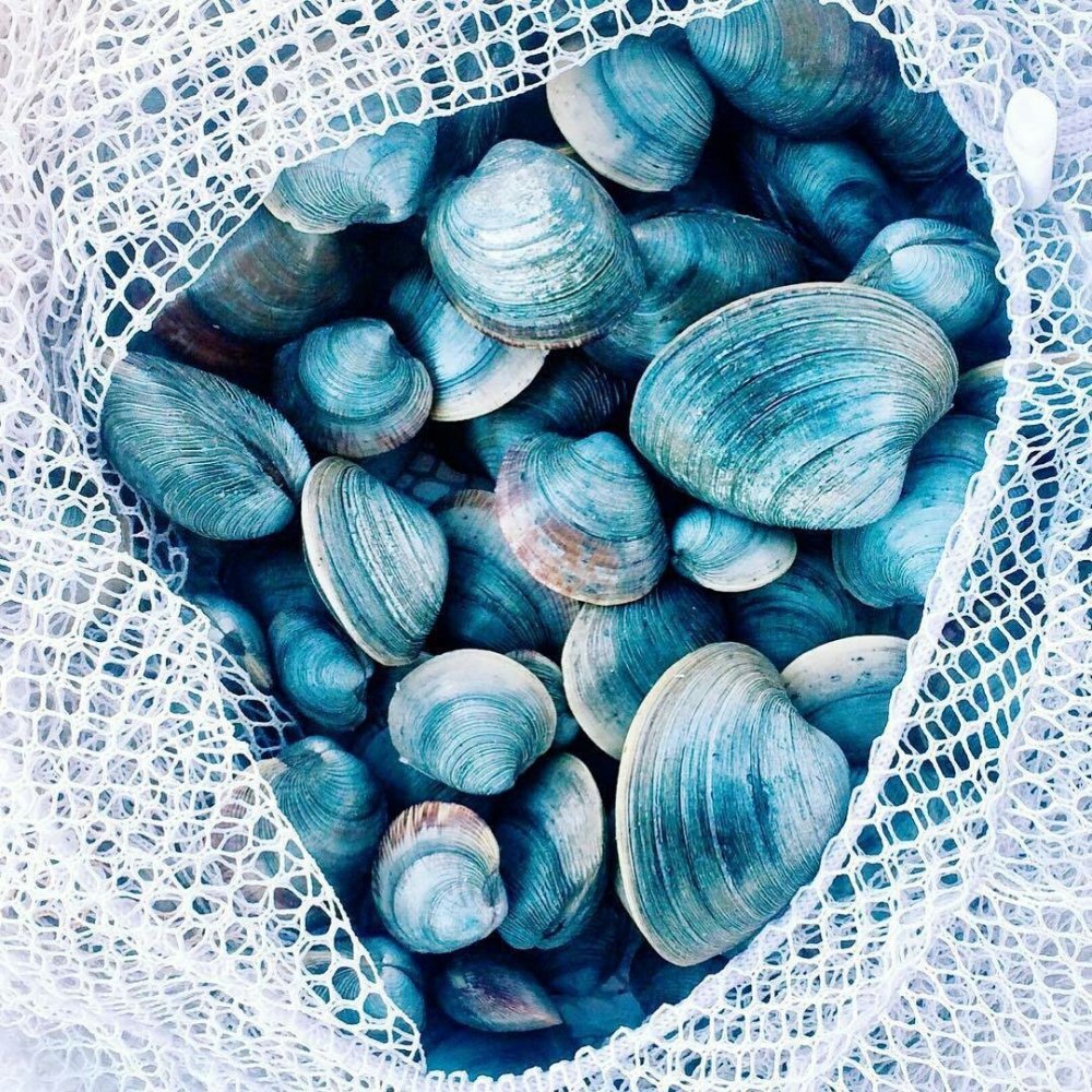 Эстетика нежно голубого