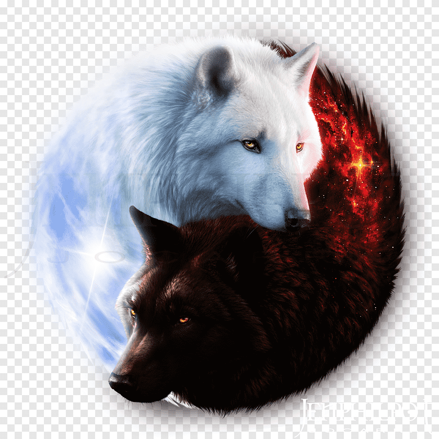 Черный и белый волк Инь Янь