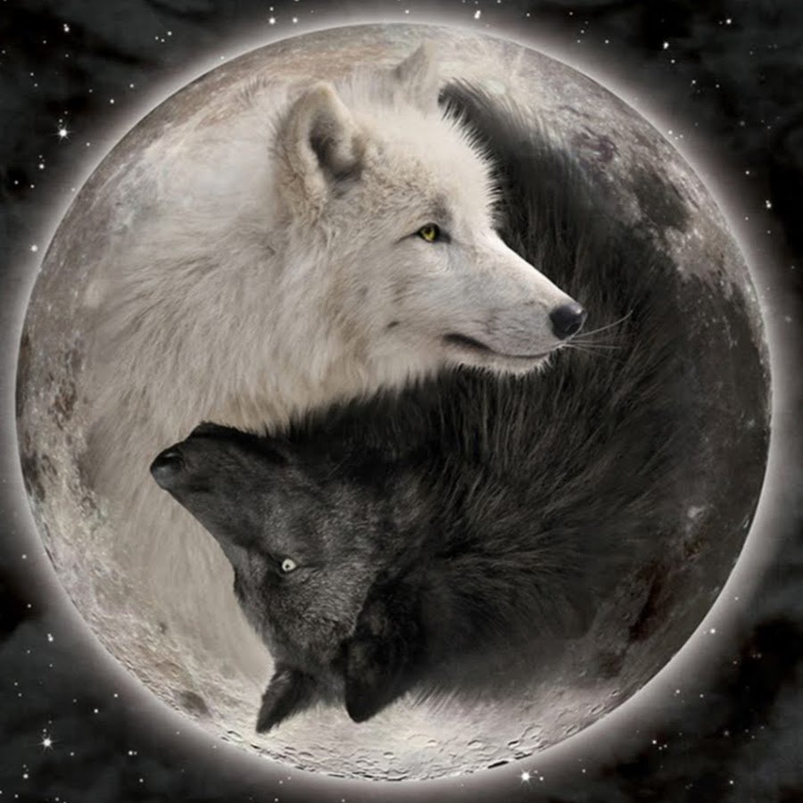 Инь-Ян Волков