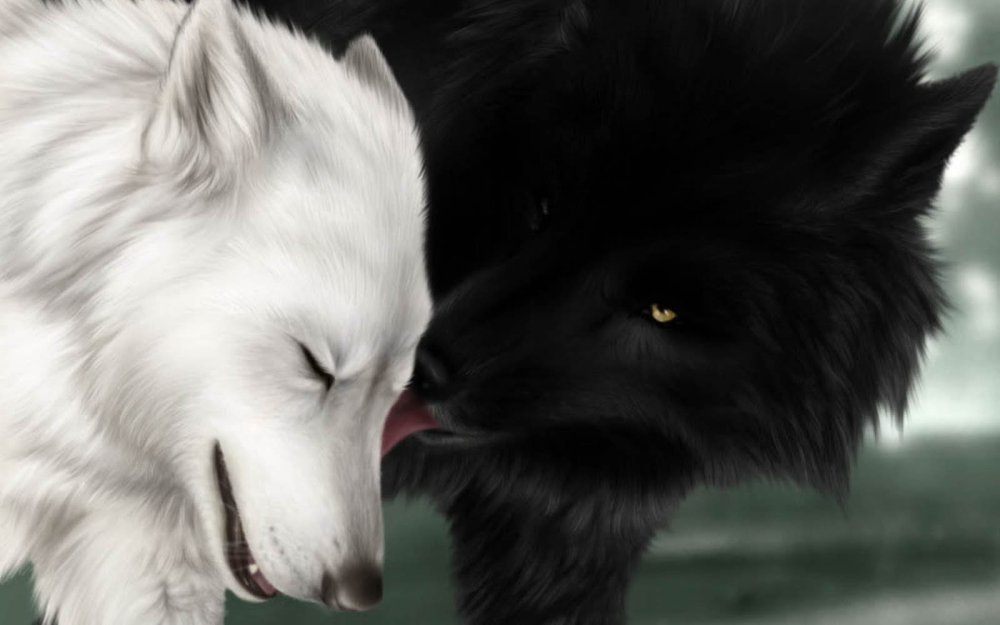 Два волка волчица и волк