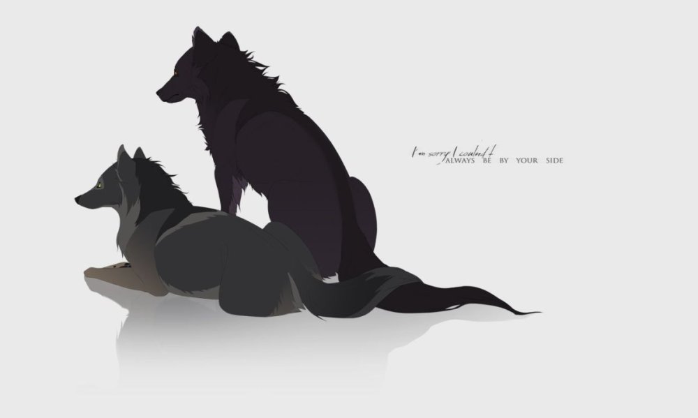 Волк лежит референс