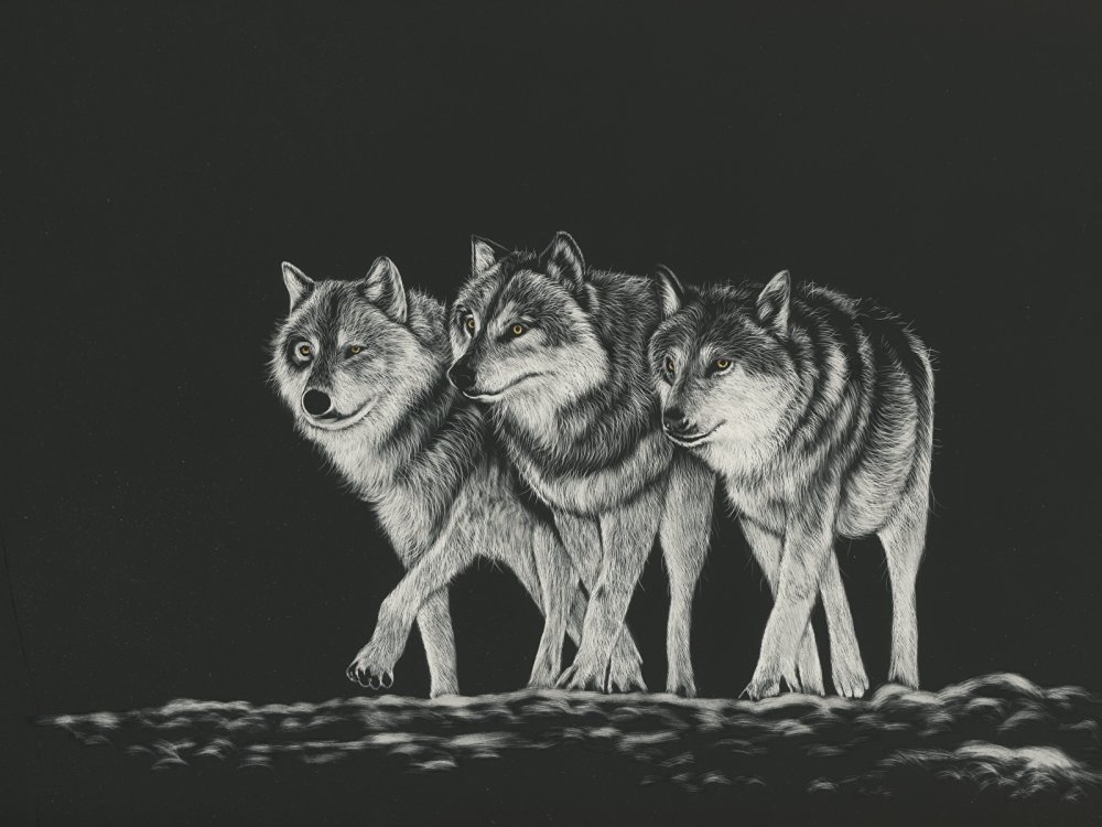 Стая Волков