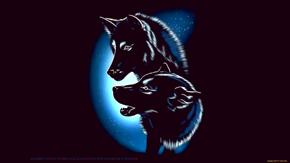 Волк на черном фоне