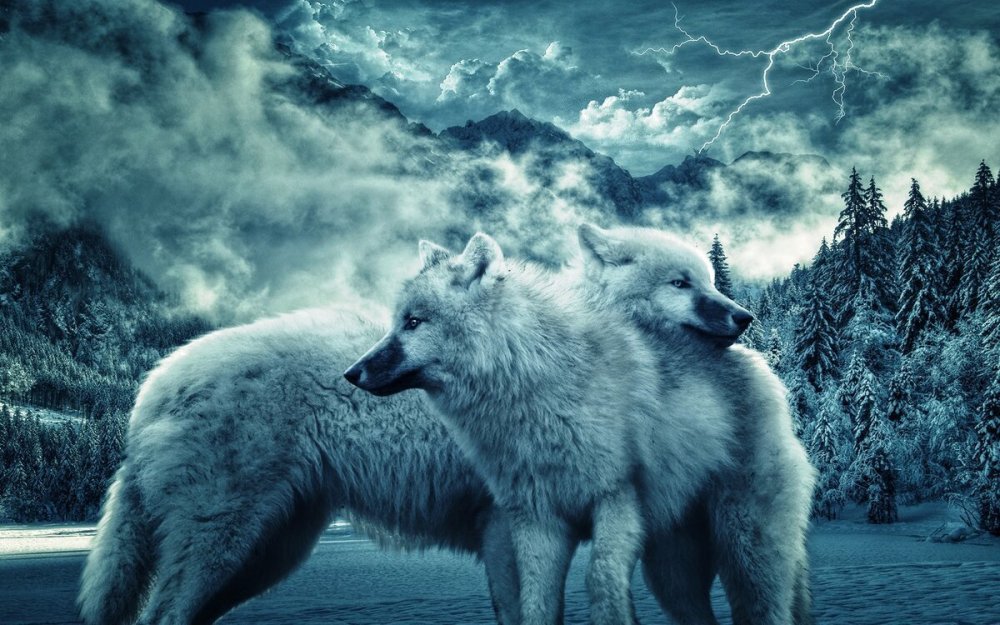 Волк зимой Эстетика