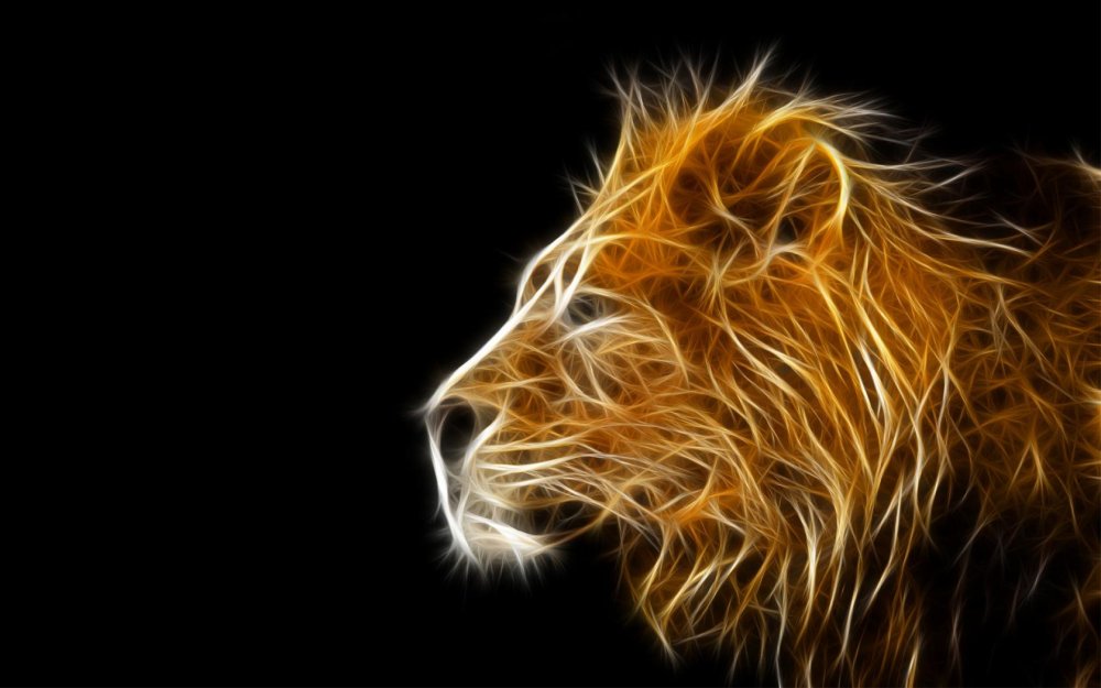 Лев черно белый