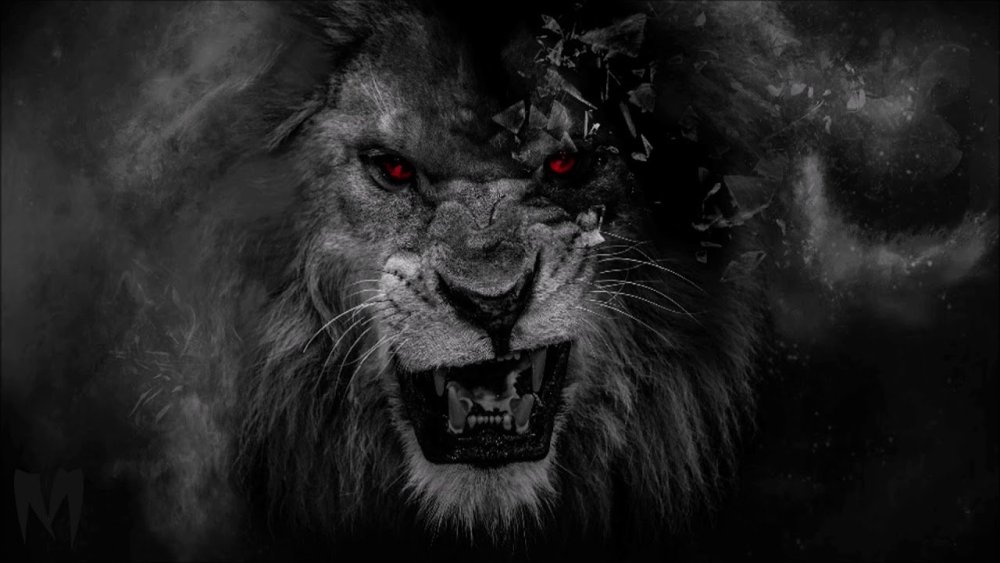 Рычащий Лев на черном фоне