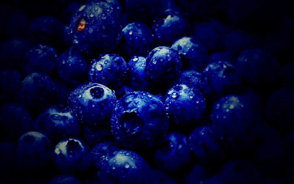 Ежевика и голубика