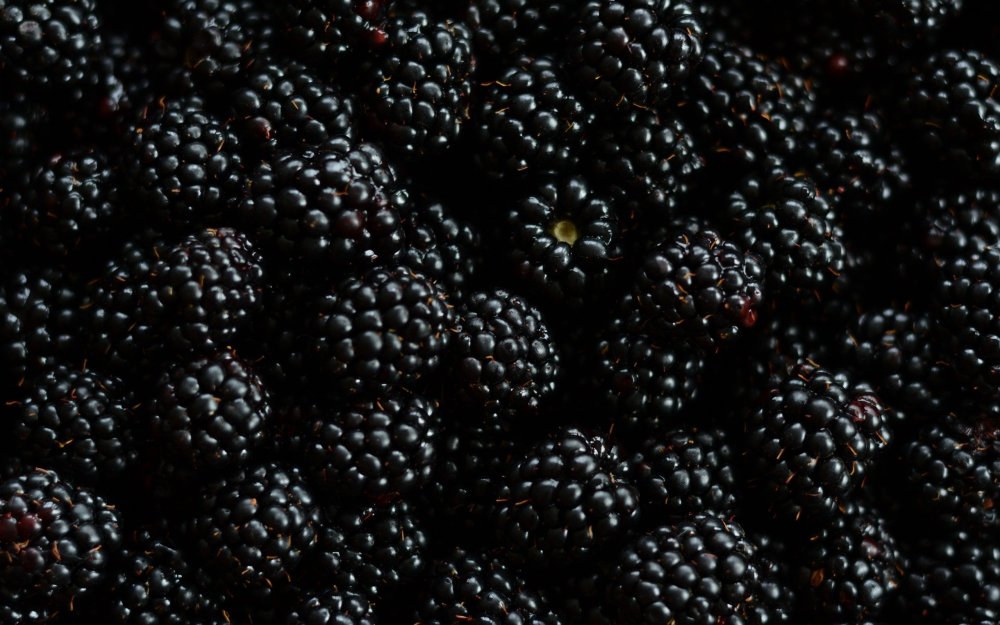 Ежевика Эстетика