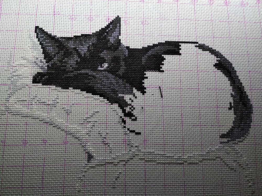 Вышивка с котами